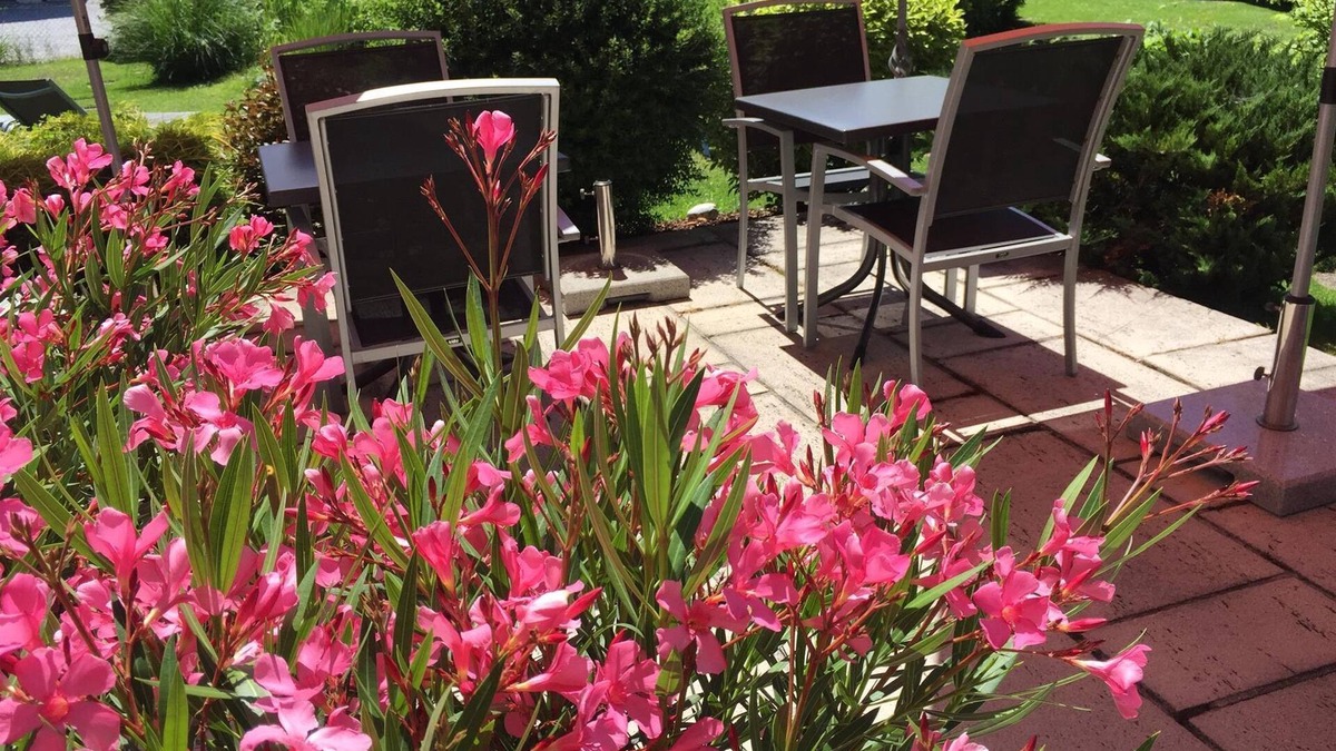 Schuttdorf Cottage | Triple room with shower or bath Bathroom, toilet - Lindenthaler, guesthouse