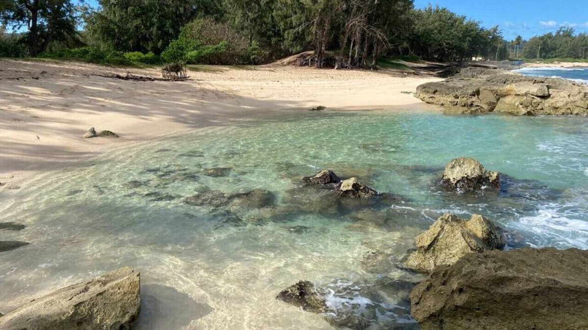 Kahuku House | Tropical Getaway perfect for families, near beach, free wifi