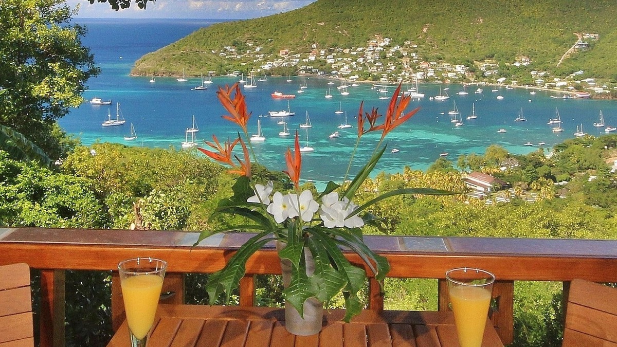 Friendship Bay Cottage | Tropical Hideaway Palm Cottage - Stunning Views - 5* Boutique Accommodation
