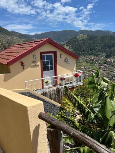 Campanario House | Tropical House