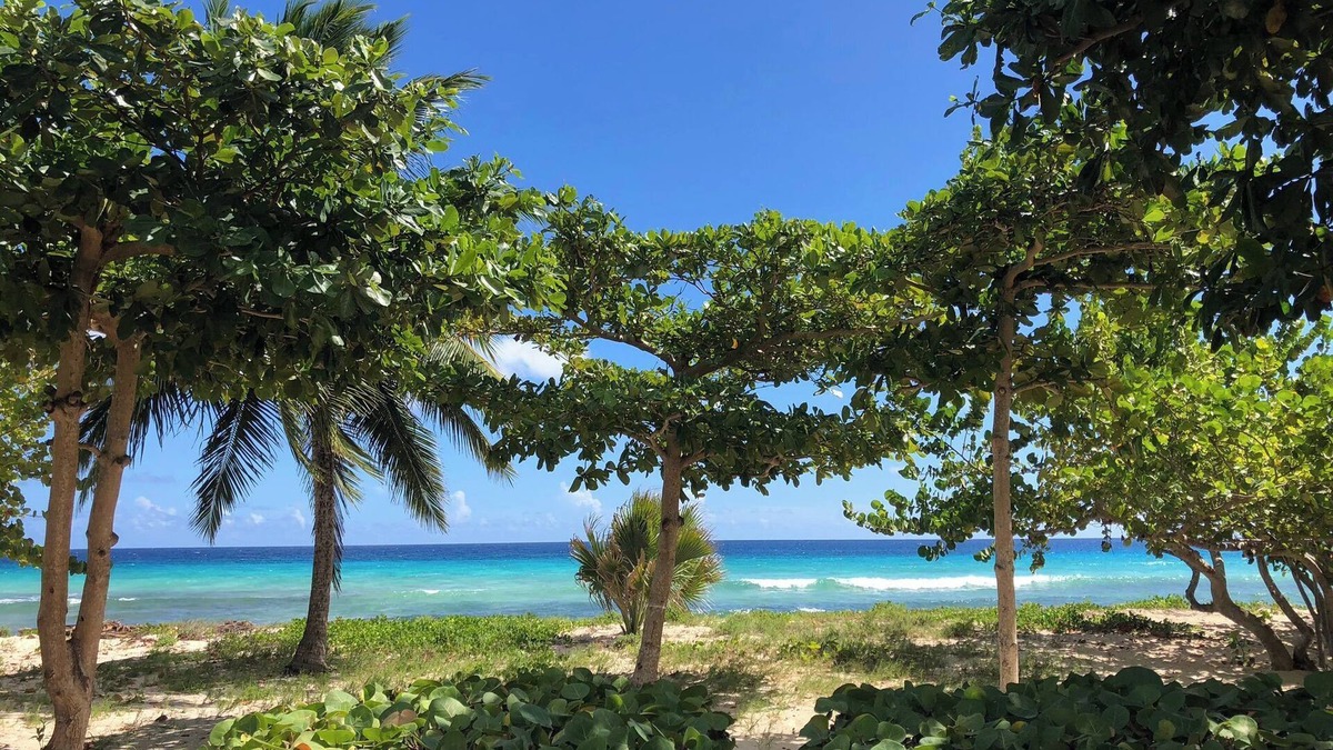 West Coast Condo | TROPICAL PARADISE ON THE BEACH