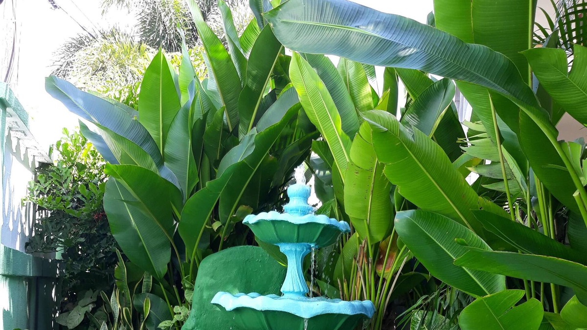 Maynards Apartment | Tropical Petal Apt. for Two-w a/c, k-sized bed TV, super wi-fi.