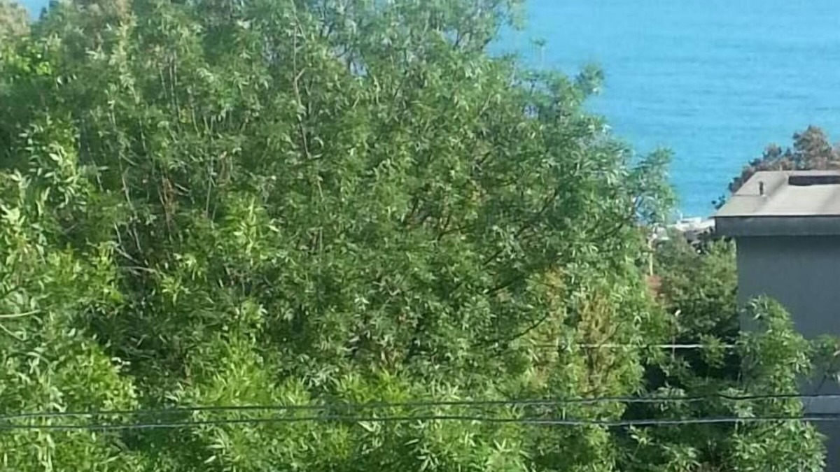 Castiglioncello Apartment | Truly 100 MT. from the SEA and BEACH + stunning SEA VIEW