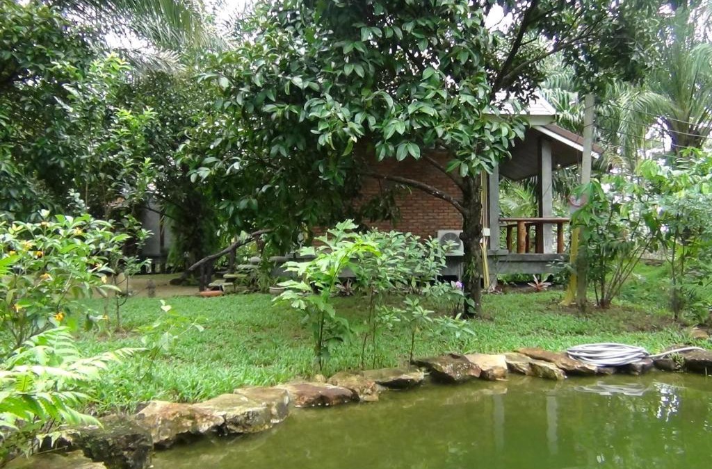 Thai Mueang House | Tuaprodhome