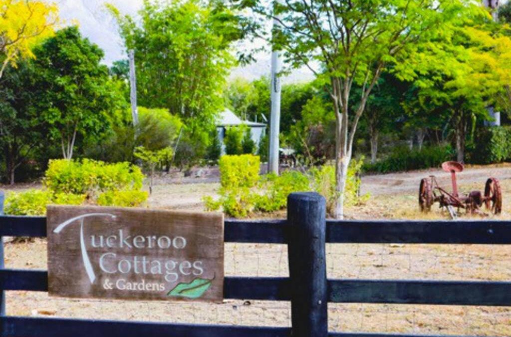 Rathdowney House | Tuckeroo Cottages - Tuckeroo House