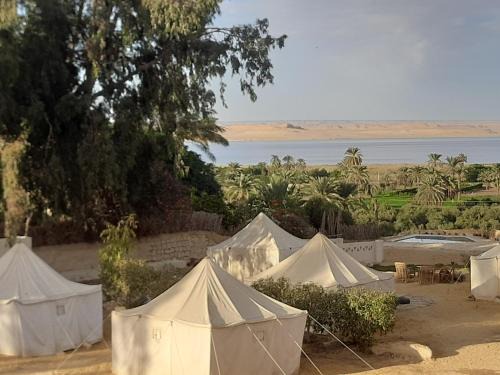 Tunis Village Other | Tunis Camp Fayoum