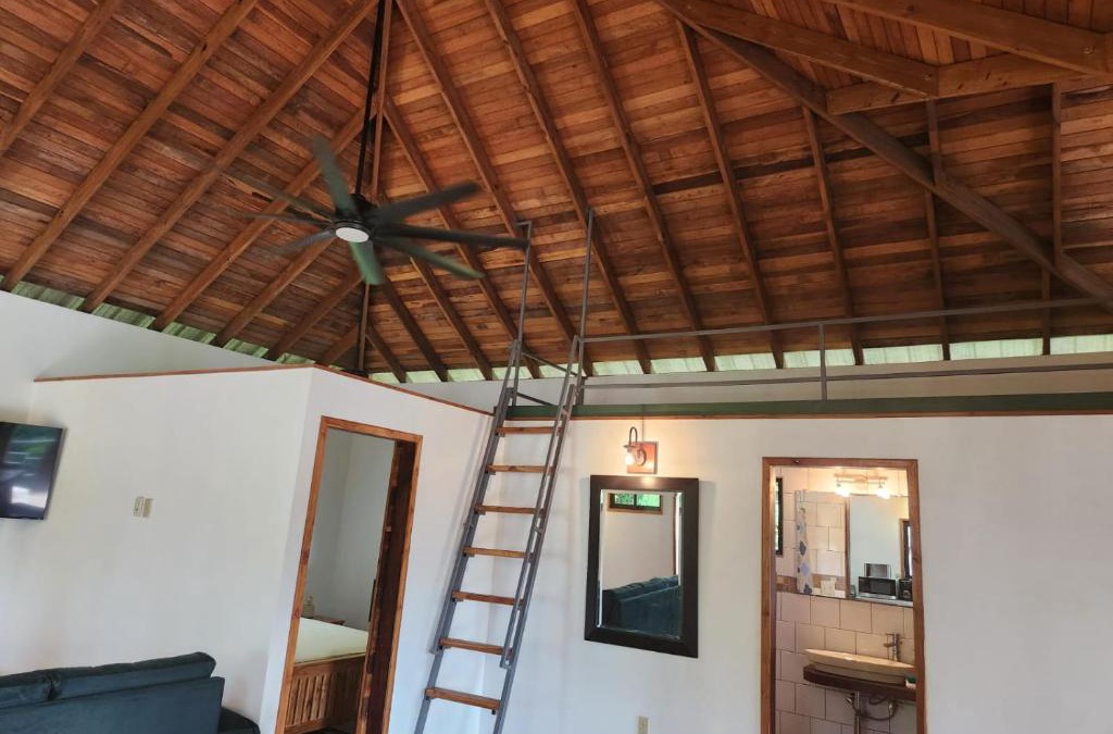 Bullet Tree Falls House | Turtle Suite