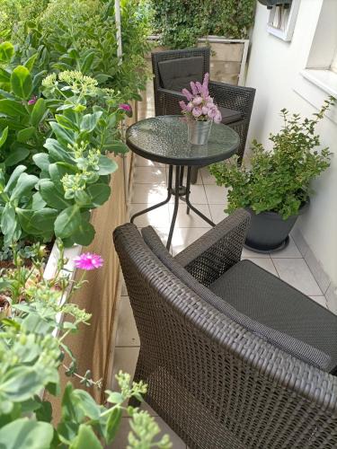 Ujlipotvaros Apartment | Turul Apartment Budapest