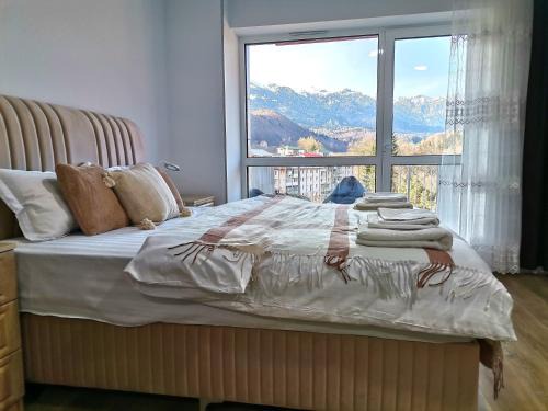 Sinaia Apartment | Tutu Apartment Sinaia