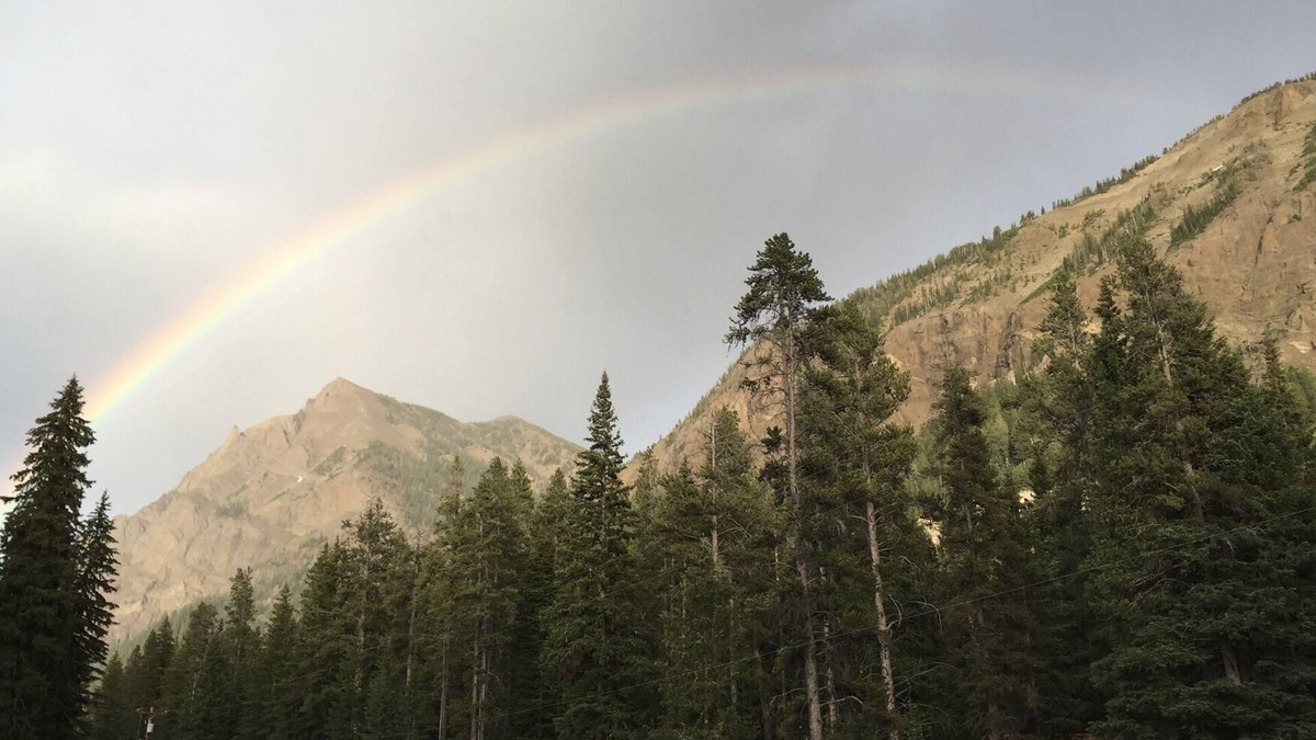 Silver Gate Apartment | Twisted Twig Loft: Family trips to Yellowstone are great!