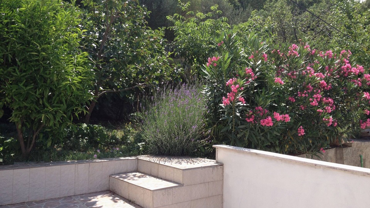 Sveti Juraj Apartment | Two bedroom apartment with terrace and sea view Sveti Juraj, Senj (A-2399-b)