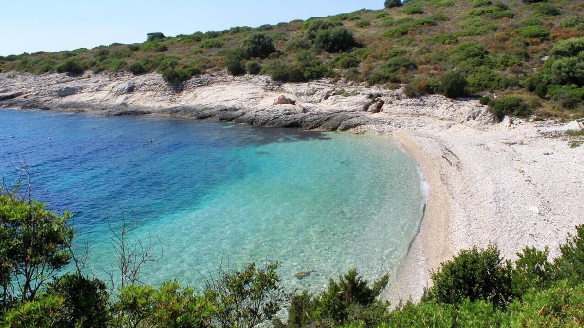 Savar Apartment | Two bedroom apartment with terrace and sea view Savar, Dugi otok (A-892-a)