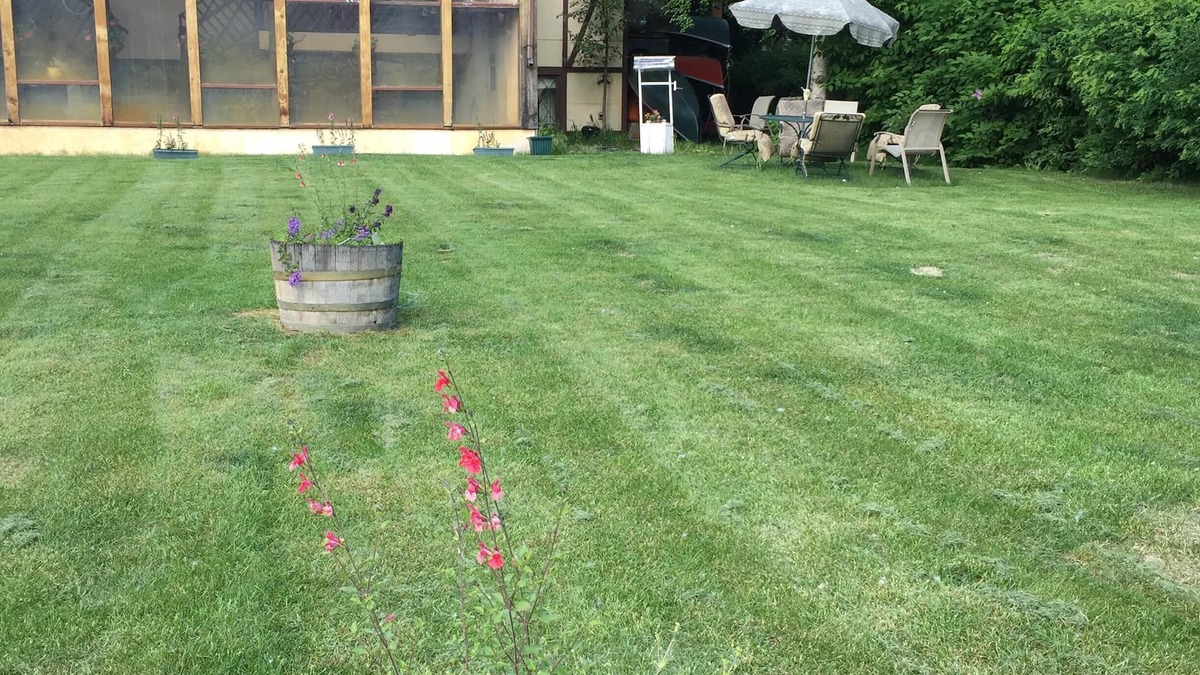 College Apartment | Two bedroom daylight basement apartment on 1 1/2 acres near University