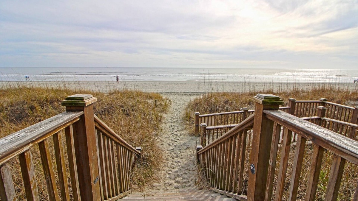 Ocean Drive Resort | Two Bedroom Ocean Front, Luxury Condo, Myrtle Beach, SC 3331983