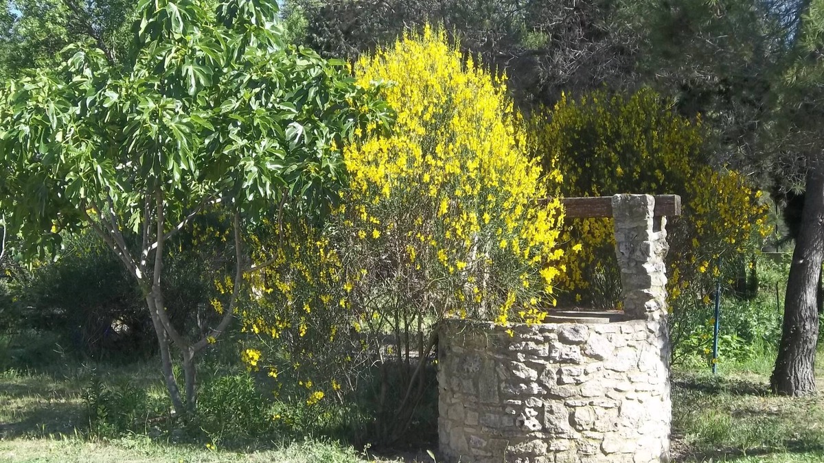 Saze House | Two bedrooms, in the countryside, near Avignon.