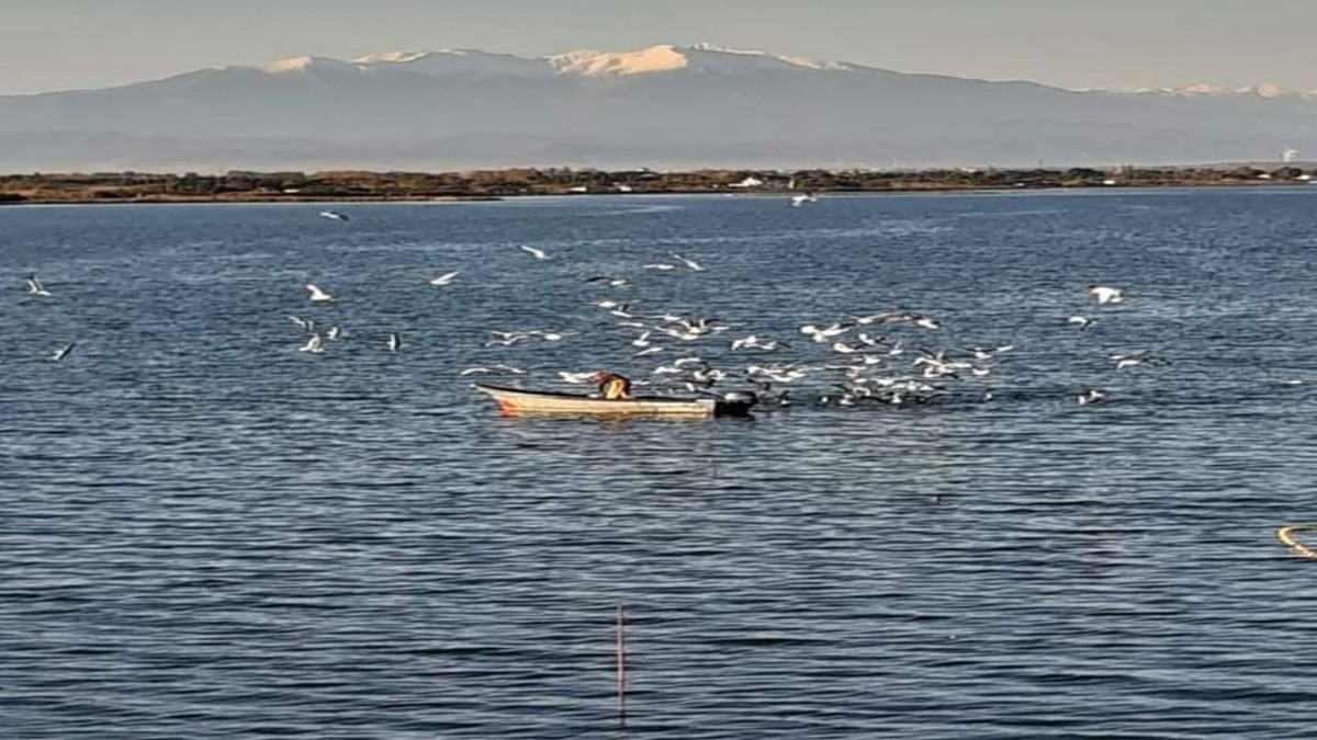 Le Barcares Apartment | TWO-ROOM APARTMENT WITH EXCEPTIONAL LAKE AND CANIGOU VIEWS