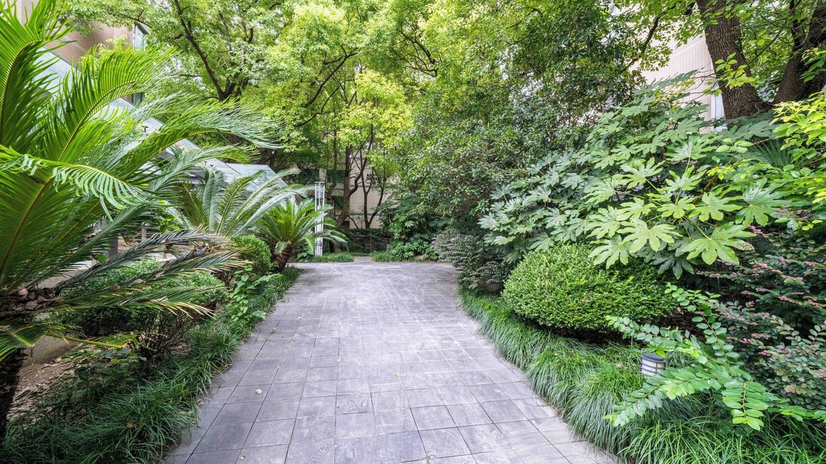 Xujiahui Bed & Breakfast | Tyms Modern1BR 1BA Apt Near Metro 1 9 11