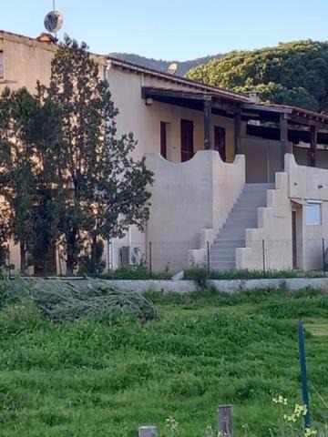 Coggia Apartment | U Palmu