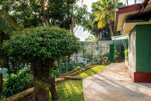Kandy Cabin | Udawatta Kele (UK) Forest Lodge