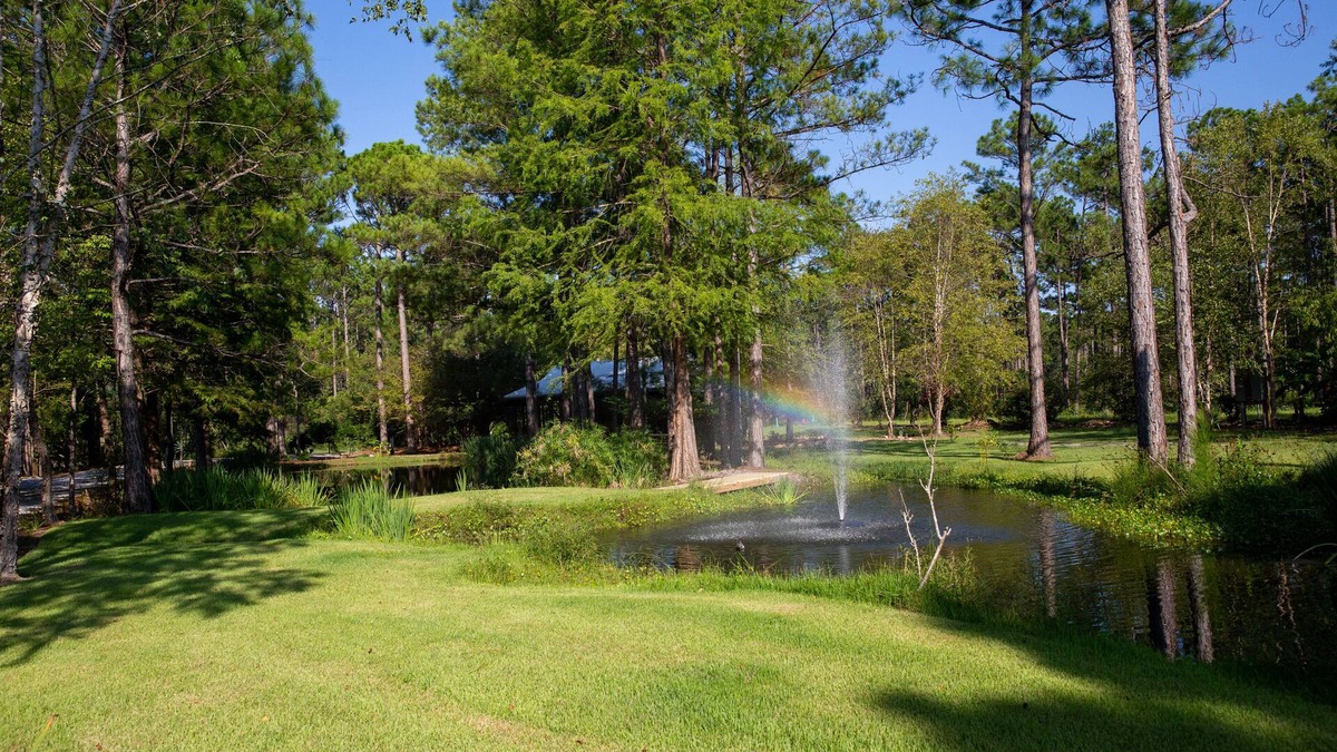 Elberta Cottage | Ultimate Luxury Modern Cottage Getaway * BOAT, Kayaks, Canoe! DOLPHINS