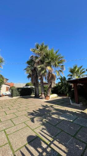 Capitolo Villa | Una Civetta al Mare