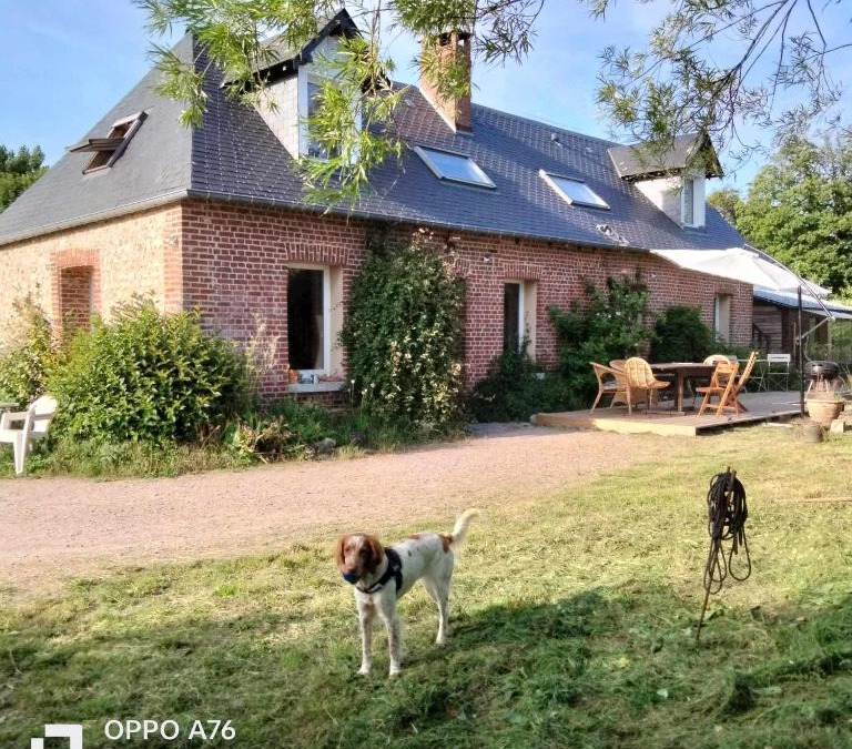 Bordeaux-Saint-Clair House | Une chambre dans la verdure