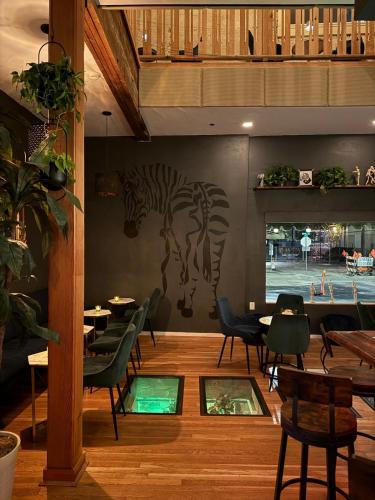 Downtown Tucson Hotel | Unicorn Zebra
