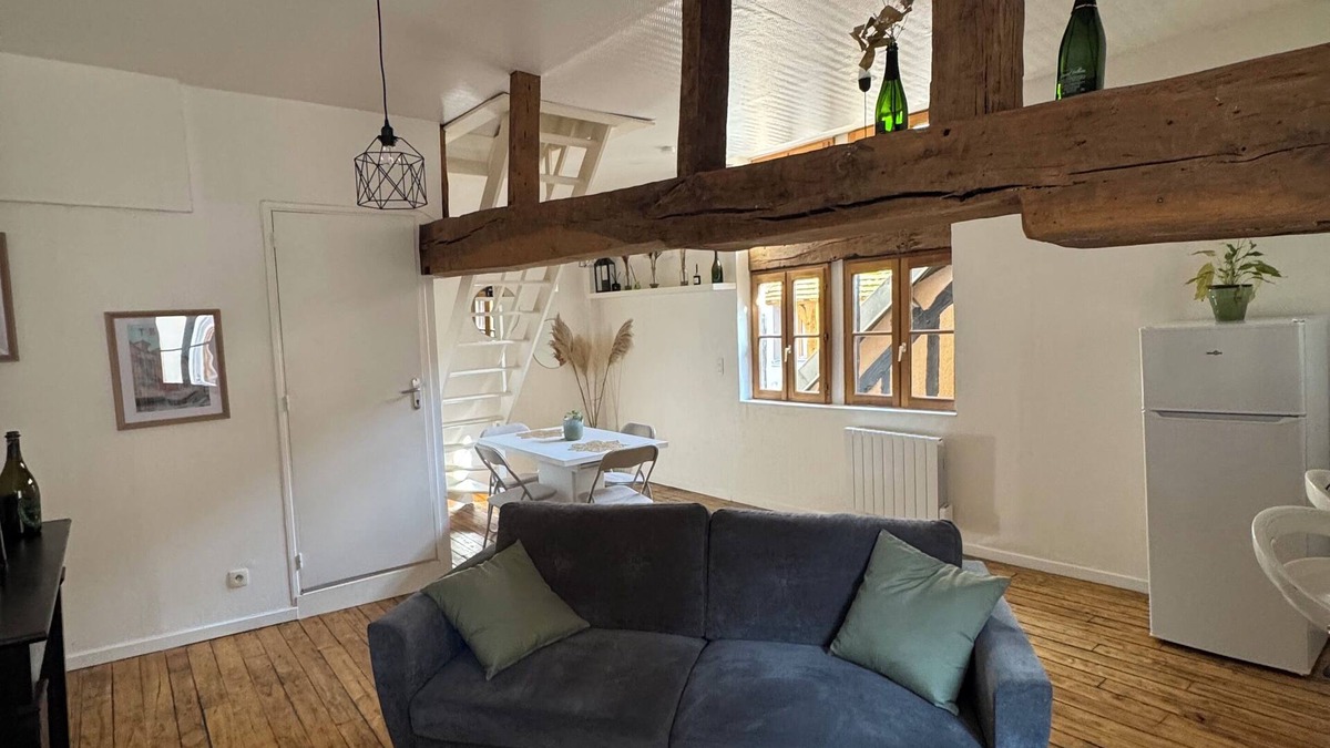 Old Town Apartment | Unique apartment in the historic heart of Troyes - Ruelle des chats/rue Champeaux