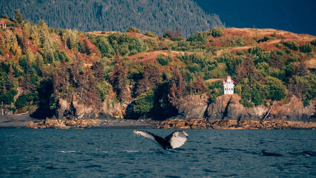 Ismailof Island Cabin | Unique Clifftop Lighthouse with stunning views of Kachemak Bay