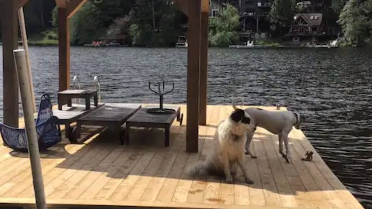 Shawnigan Lake Cottage | Unique Hand built log cottage on the lake with views and hot tub.