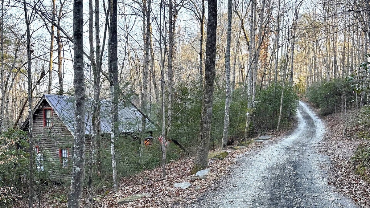 Tigerville Cabin | Unique Off Grid Cabin|Pet Friendly|Secluded
