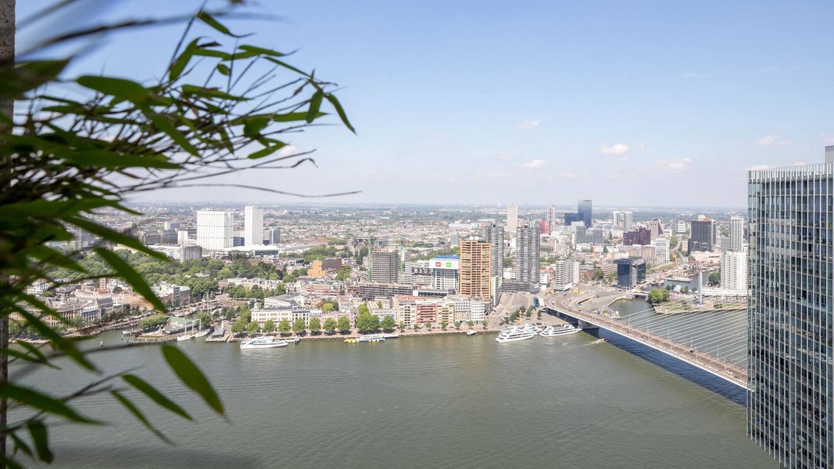 Kop van Zuid Apartment | Unique Penthouse Rotterdam Erasmus Bridge
