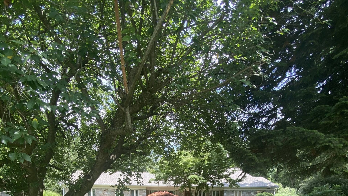 Towson House | Unique Private Oasis