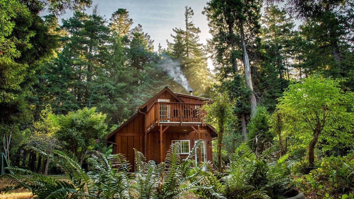 Fort Bragg Cabin | Unique retreat surrounded by redwoods - outdoor tub & wood stove, dog-friendly
