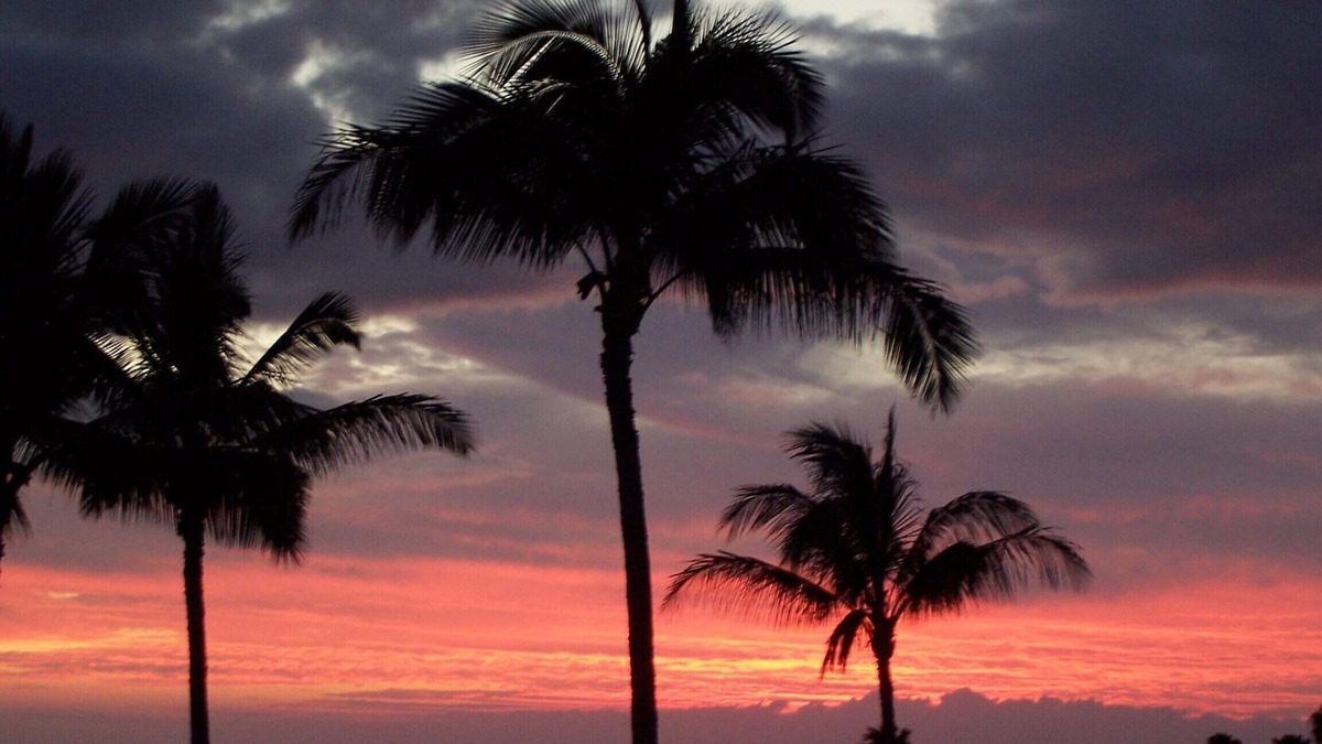 Maunaloa Condo | Unobstructed Ocean View - Lovely 1/1