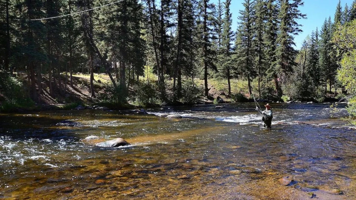 Almont House | Unwind by the River: Cozy Cabins & Endless Adventures in the Rockies