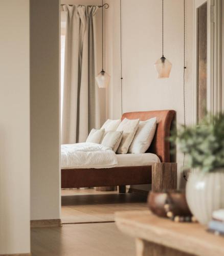 Anyksciai Apartment | Upės apartamentai II su kiemeliu ir baseinu