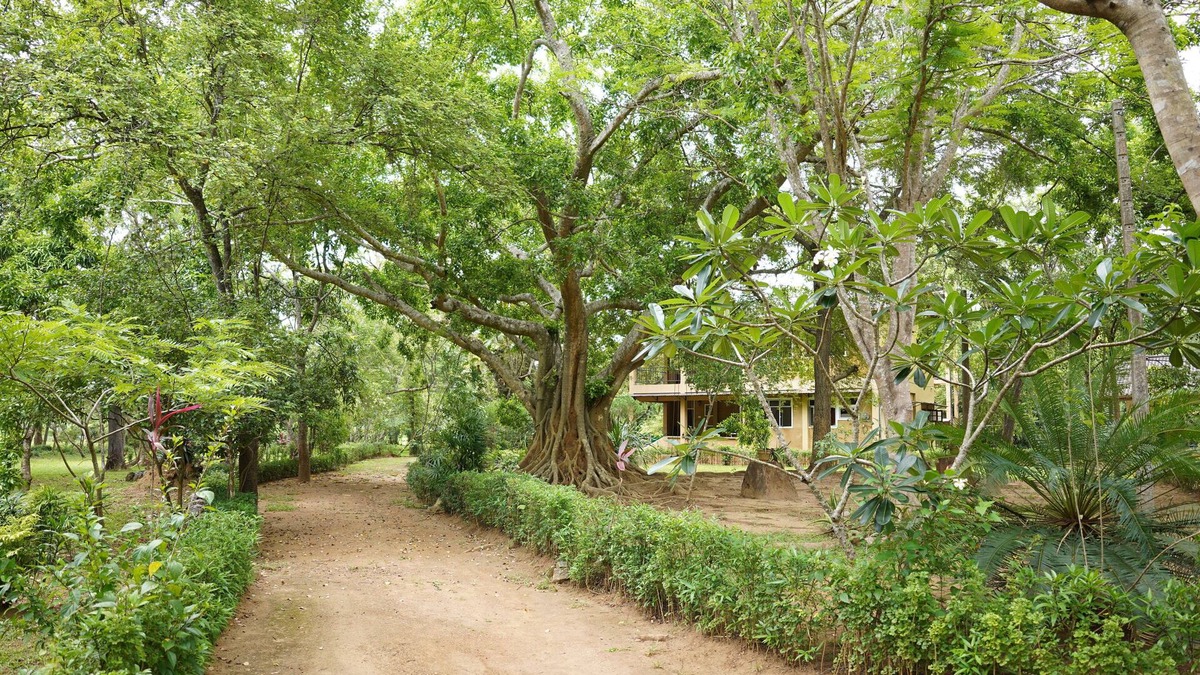 Habarana Villa | UpiesFolly Lakeside Bungalow