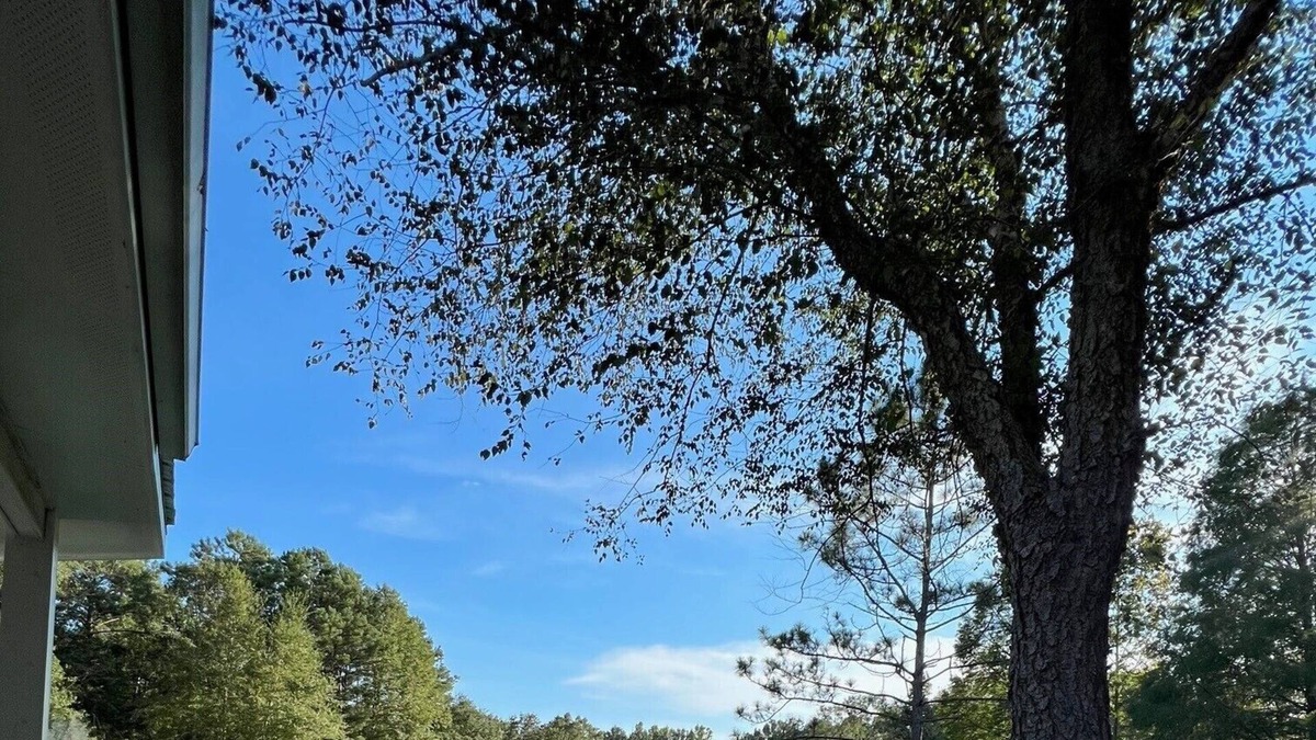 Carriere Other | Upscale cabin on 12 acres with stocked pond, great porch, and gourmet kitchen!