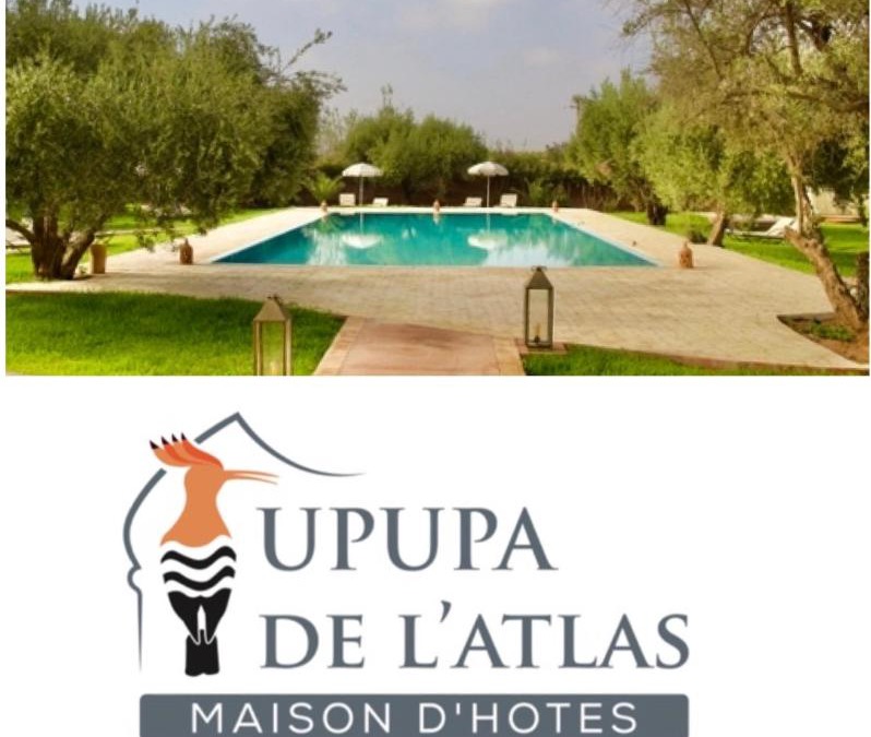 Al Ouidane Hotel | Upupa de l’Atlas