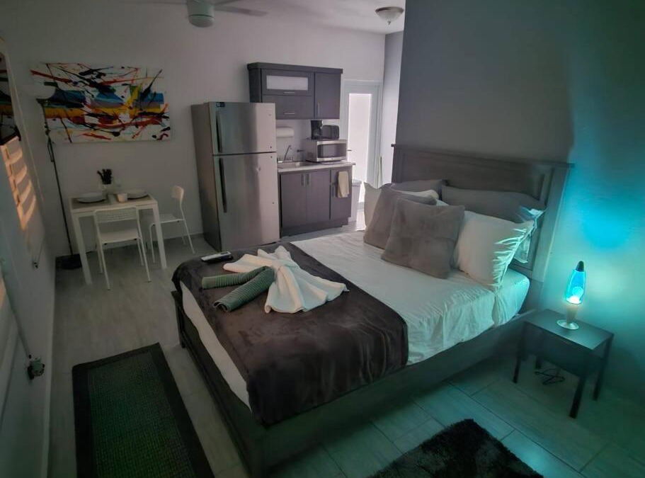 Eleanor Roosevelt Apartment | Urban Lodgings One @ Roosevelt 457