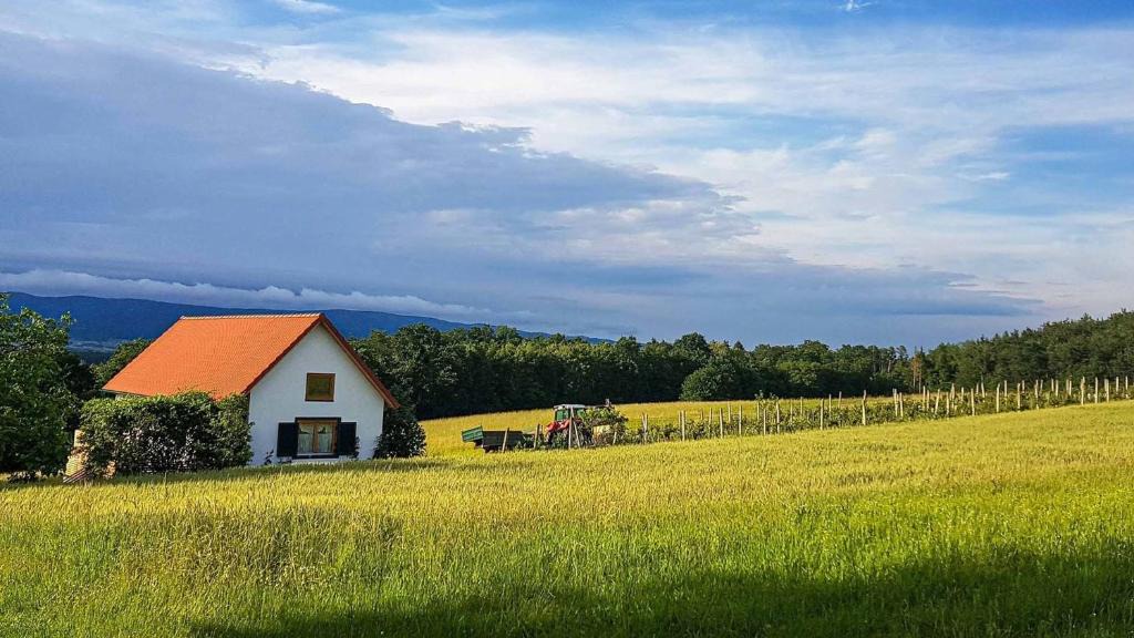 Hannersdorf House | Urlaub am Kinispa
