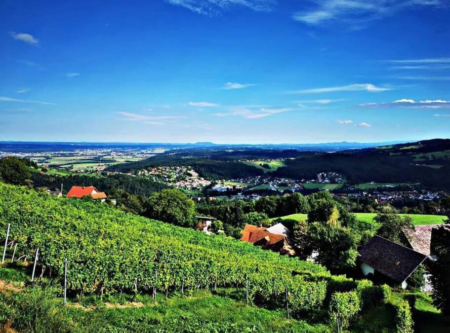 Krottendorf-Gaisfeld House | Urlaub in den Weinbergen