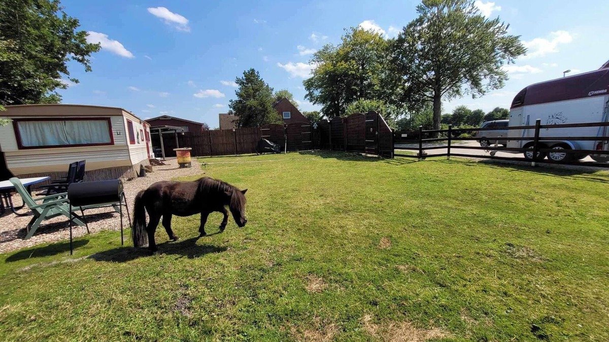 Fahne House | Urlaub mit Ponies und Campingflair