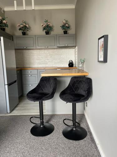 Baluty Apartment | Uroczy apartament - Mackiewicza 5, Parking, Netflix