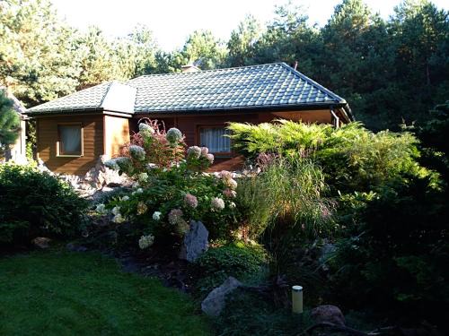 Narewka Cabin | Uroczysko Ludwinowo na Podlasiu