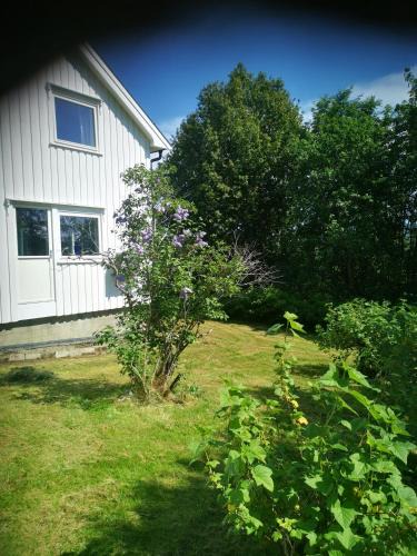 Orkdal House | Utleiebolig Fannrem