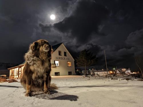 Myrdalshreppur Hostel | Vík Hostel