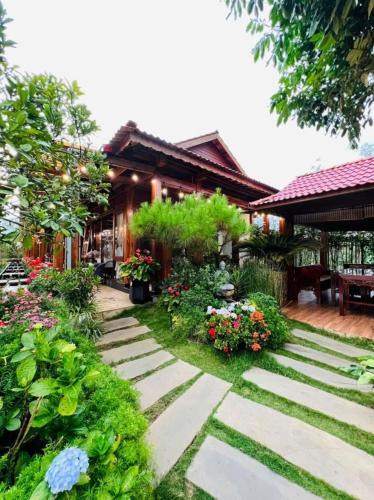 Kon Plong Resort | Vườn Trà HomeStay Măng Đen