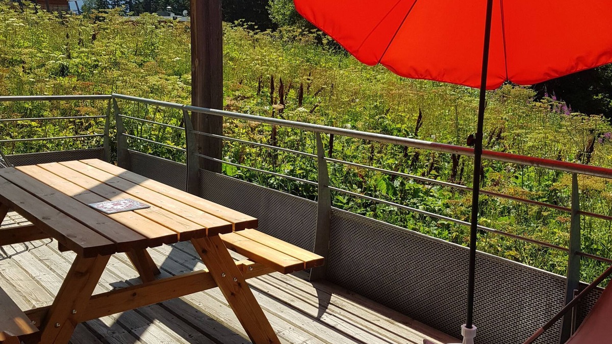 Chamrousse Apartment | V du bachat joubarbes C N°02 - 3P5